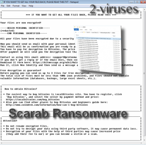Ransomware Scarab